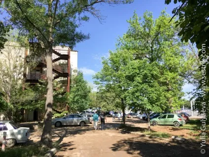 З собакою в крим коротка корисна інформація (собакою) З собакою в крим коротка корисна інформація