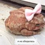 Чи варто купувати дзеркало б