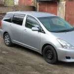Чи варто відновлювати «перевертень»