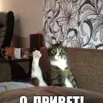 Чи варто купувати дзеркало б