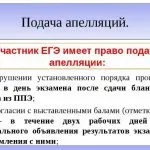 Як підготувати учнів до ЄДІ - школа успішного вчителя