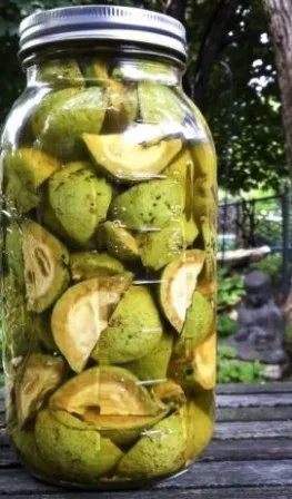 Як підтримати щитовидну залозу народними засобами (засобами) Як підтримати щитовидну залозу народними засобами