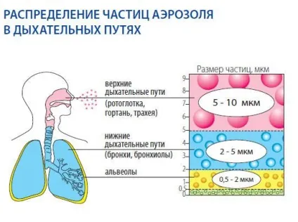 Який небулайзер краще компресорний або ультразвуковий, чим відрізняється, в чому різниця, як (компресорний) Який небулайзер краще компресорний або ультразвуковий, чим відрізняється, в чому різниця, як