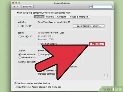 Як користуватися zoom на mac