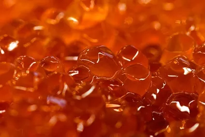 Суперпродукт для здоров'я ікра (культура) Суперпродукт для здоров'я ікра