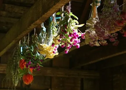 Сухоцвіт - ярмарок майстрів - ручна робота, handmade (майстрів) Сухоцвіт - ярмарок майстрів - ручна робота, handmade