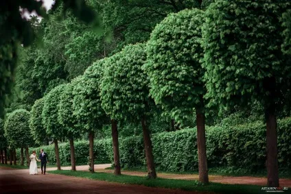 Весільний фотограф евгений Астахов, фотограф в г (весільний) Весільний фотограф евгений Астахов, фотограф в г
