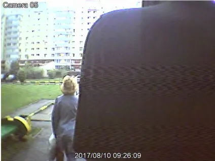 свідки дТП