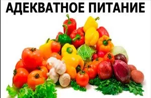 Тести на тему харчування