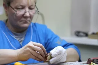 Технології годин ника (ніка) Технології годин ника