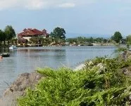 Гарбузи на паличці - або паслін ефіопський