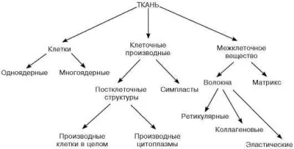 Тканина як система