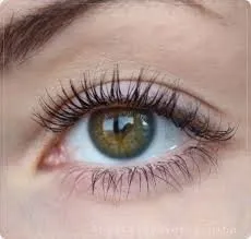 Туш макс фактор false lash effect відгуки, секрети краси і здоров'я жінки (false lash effect) Туш макс фактор false lash effect відгуки, секрети краси і здоров'я жінки