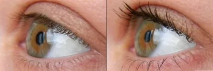 Туш макс фактор false lash effect відгуки, секрети краси і здоров'я жінки (фактор) Туш макс фактор false lash effect відгуки, секрети краси і здоров'я жінки