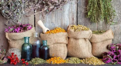 Трави від аденоми передміхурової залози - якими травами лікувати гіперплазію простати (травами) Трави від аденоми передміхурової залози - якими травами лікувати гіперплазію простати