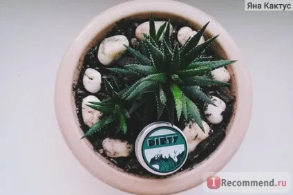 Тверді духи lush dirty унісекс - «я ніколи не думала, що можна закохатися в духи (думала) Тверді духи lush dirty унісекс - «я ніколи не думала, що можна закохатися в духи