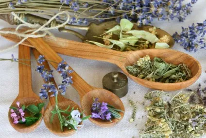 Трави для лікування простатиту і аденоми народні рецепти (лікування) Трави для лікування простатиту і аденоми народні рецепти