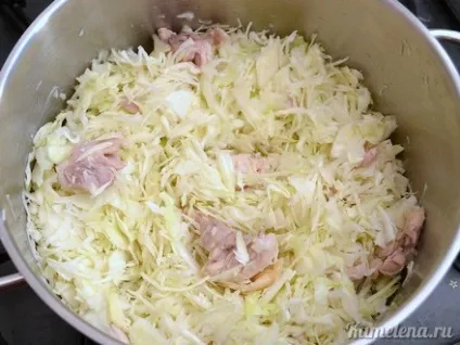 Тушкована капуста з куркою (капуста) Тушкована капуста з куркою