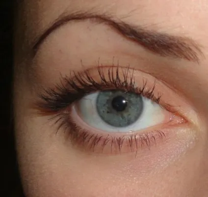 Туш для вій phyto-mascara ultra-stretch від sisley (1) - відгуки, фото і ціна (відгуки) Туш для вій phyto-mascara ultra-stretch від sisley (1) - відгуки, фото і ціна
