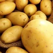 Видалення папілом народними засобами