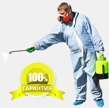 Знищення комарів на дачі, ділянці, в квартирі (знищення комарів на ділянці) Знищення комарів на дачі, ділянці, в квартирі
