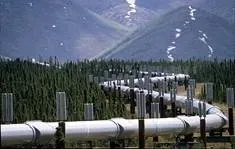 Пристрої й елементи газових мереж