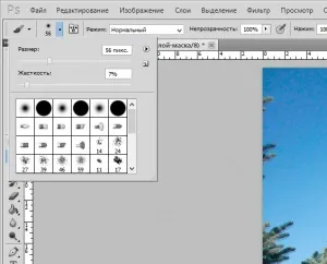 Урок 8 як розмити задній фон в фотошопі - уроки по lightroom і photoshop (задній) Урок 8 як розмити задній фон в фотошопі - уроки по lightroom і photoshop