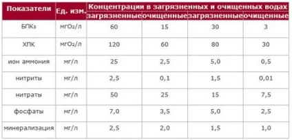 Пристрій системи біологічної очистки (біопрудах) Пристрій системи біологічної очистки