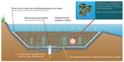 Пристрій системи біологічної очистки (плавальний ставок) Пристрій системи біологічної очистки