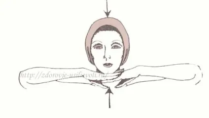 Вправи для красивої шиї і підборіддя в картинках, здоров'я як зусилля волі (вправи для красивої шиї) Вправи для красивої шиї і підборіддя в картинках, здоров'я як зусилля волі