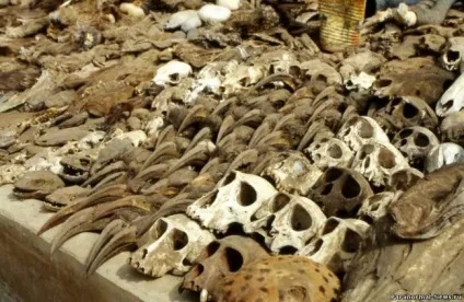 Страхітливий африканський ринок для чаклунів вуду (47 фото) - таємниці релігій - новини (фото) Страхітливий африканський ринок для чаклунів вуду (47 фото) - таємниці релігій - новини