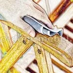 Догляд за дерев'яними меблями правила і поради (дерев'яної) Догляд за дерев'яними меблями правила і поради