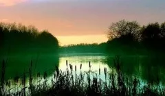Вранці ви приймаєте душ і голосно ругаетесь