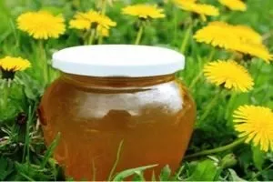 Варення з кульбаб покрокові рецепти з фото, користь і шкода від продукту (варення з квіток кульбаби) Варення з кульбаб покрокові рецепти з фото, користь і шкода від продукту