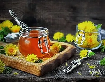 Варення з кульбаб рецепт, як приймати для лікування печінки, користь і шкода (варення кульбаба рецепт квітка печінку прийом лікувальний варіння мати й мачуха покроковий лимон відгук лікар для вагітна користь шкоду корисний властивість протипоказання чистка діабетик лікування цироз) Варення з кульбаб рецепт, як приймати для лікування печінки, користь і шкода
