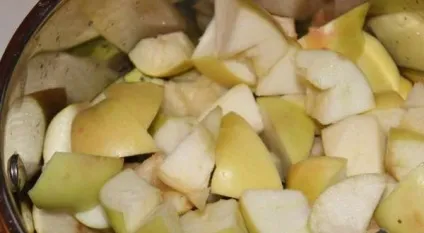 Качка з яблуками в духовці святкові рецепти з фото (рясно натираємо сіллю) Качка з яблуками в духовці святкові рецепти з фото