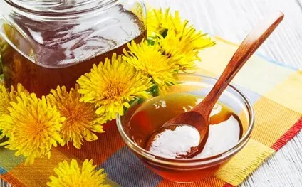 Варення з кульбаб рецепт, як приймати для лікування печінки, користь і шкода (рецепт) Варення з кульбаб рецепт, як приймати для лікування печінки, користь і шкода