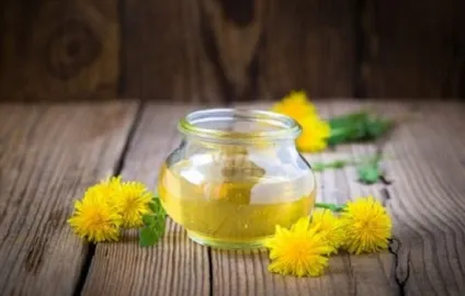 Варення з кульбаб користь, лікувальні властивості, можливу шкоду (вагітність) Варення з кульбаб користь, лікувальні властивості, можливу шкоду