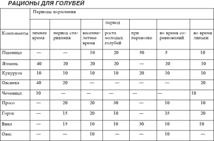 Догляд та розведення голубів в домашніх умовах (голубів) Догляд та розведення голубів в домашніх умовах