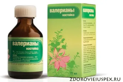 Валеріана, лікувальні властивості та протипоказання (валеріана) Валеріана, лікувальні властивості та протипоказання