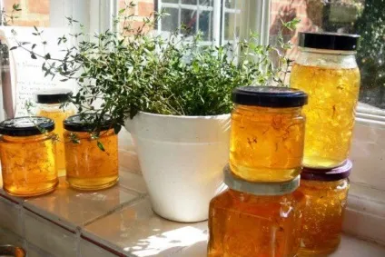 Варення з кульбаб покрокові рецепти з фото, користь і шкода від продукту (як варити варення з кульбаб простий рецепт) Варення з кульбаб покрокові рецепти з фото, користь і шкода від продукту