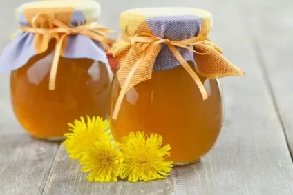 Варення з кульбаб покрокові рецепти з фото, користь і шкода від продукту (варення з кульбаби корисні властивості і протипоказання) Варення з кульбаб покрокові рецепти з фото, користь і шкода від продукту