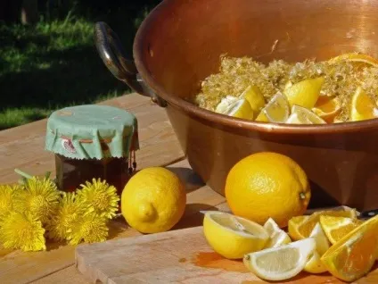 Варення з кульбаб покрокові рецепти з фото, користь і шкода від продукту (варення з кульбаб рецепт) Варення з кульбаб покрокові рецепти з фото, користь і шкода від продукту