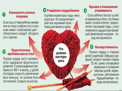 Узі серця норми і патології (норми) Узі серця норми і патології