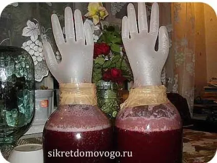 Варення закисло - що робити, секрети будинкового (вино з варення) Варення закисло - що робити, секрети будинкового