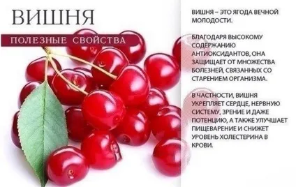 Ви навіть не здогадуєтеся про величезну користь ягід (лікування) Ви навіть не здогадуєтеся про величезну користь ягід