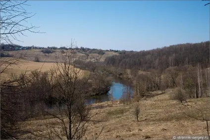 Весна квіти проліски в лісі (березові гаї діброви) Весна квіти проліски в лісі