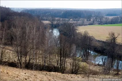 Весна квіти проліски в лісі (лісі) Весна квіти проліски в лісі