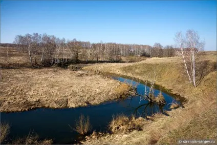 Весна квіти проліски в лісі (видів квітів пролісків) Весна квіти проліски в лісі
