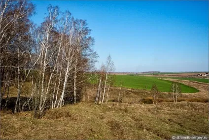Весна квіти проліски в лісі (видів квітів пролісків) Весна квіти проліски в лісі